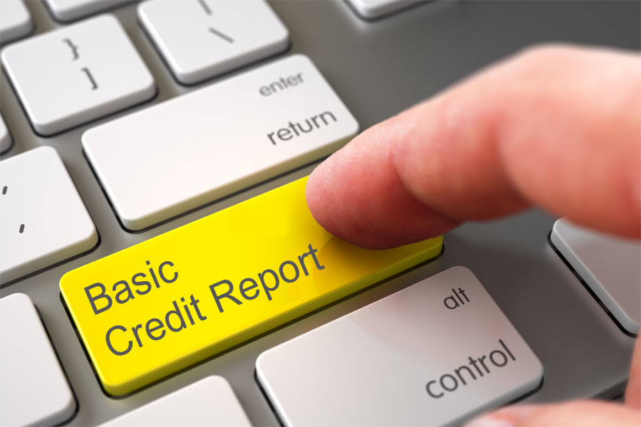 Basic Credit Report ("BCR")