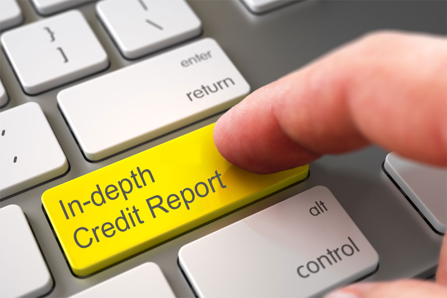 In-depth Credit Report ("ICR")