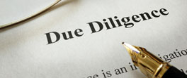 Ultimate Beneficial Owner - Due Diligence Search